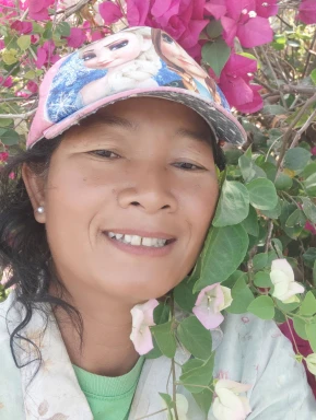 Thai women for dating / Thai ladies for dating