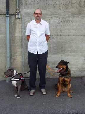 Swiss men looking for love